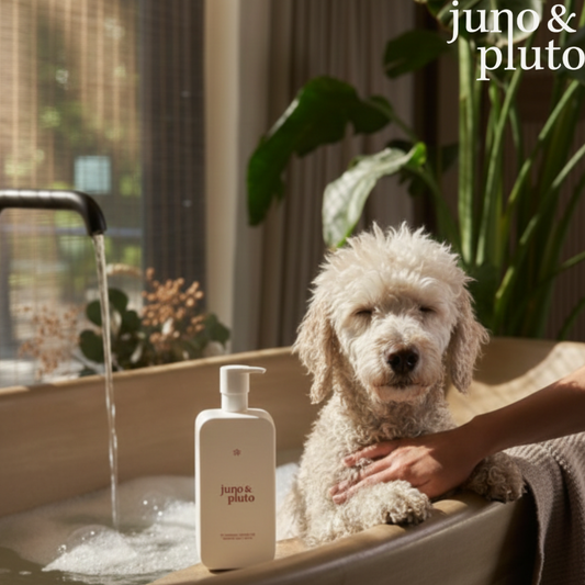 The SOS Sensitive Skin Ritual