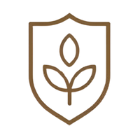 Conscious Ingredients