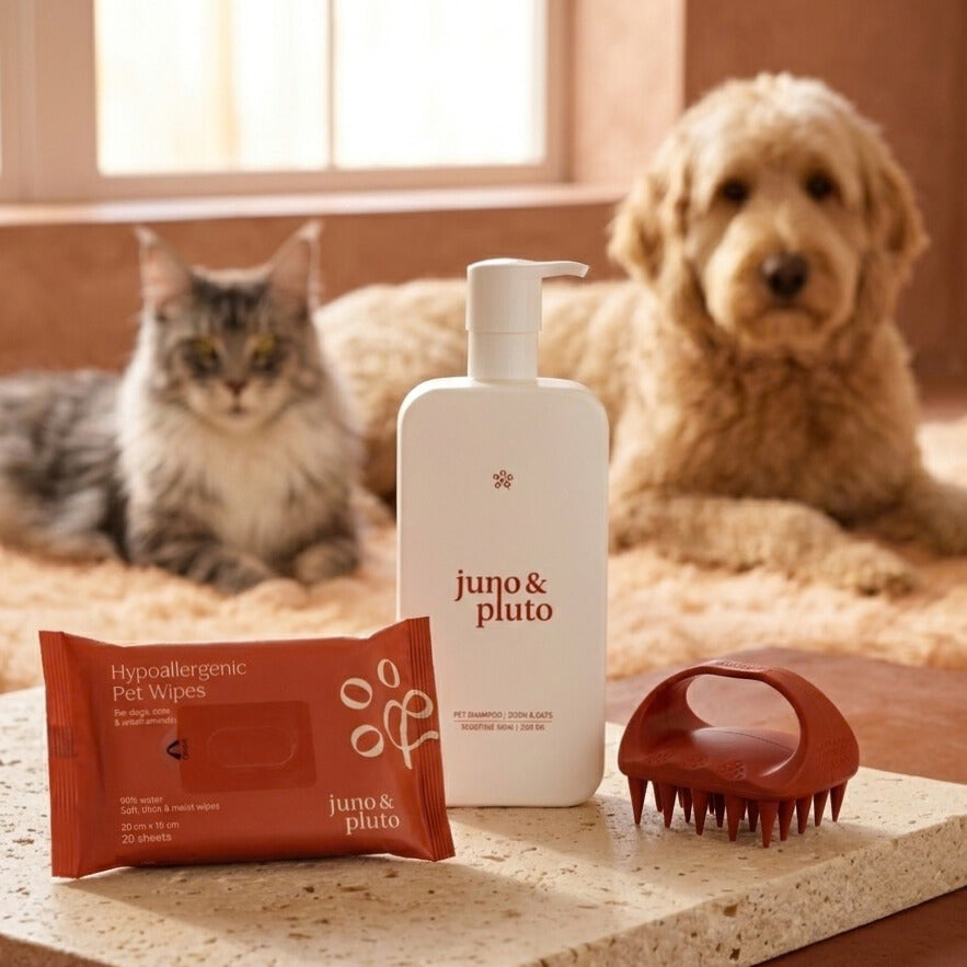 The SOS Skin Relief Kit