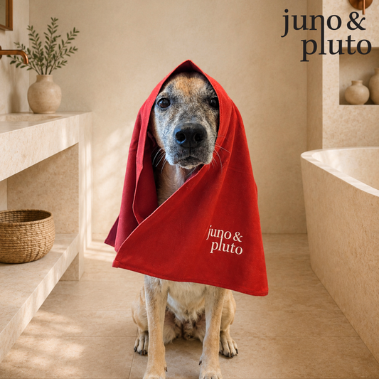 Signature Drying Towel